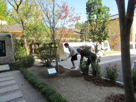 菊桜の苗木植樹鍬入れ